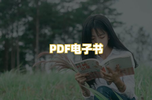 PDF电子书